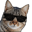 :EVs_02Dopeuwu: