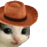 :Meowdy: