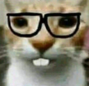 :nerd: