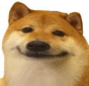 :Doge: