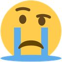 :emojisobbingfrown: